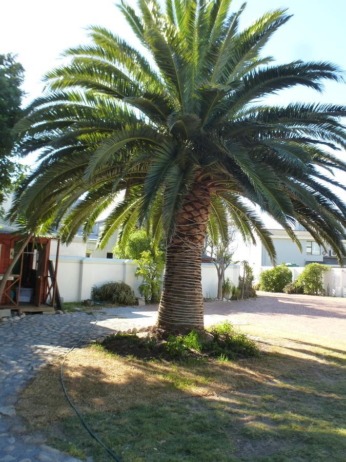 Cape Town Milnerton Lagoon Villa Esterno foto